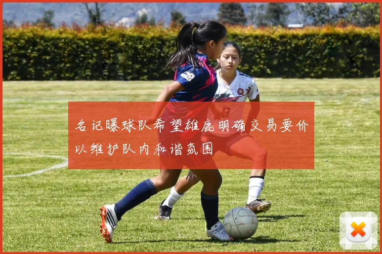 名记曝球队希望雄鹿明确交易要价以维护队内和谐氛围